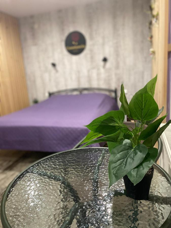 Constancia Hotel คาเมียเนตส์-โปดิลสกี ภายนอก รูปภาพ